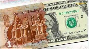 تراجع الدولار لـ 40 جنيهًا.. خبير اقتصادي يكشف ملامح تحسن الجنيه المصري توقعات غير مسبوقة لسعر الصرف. 1